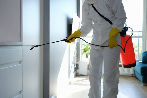 Mold Testing and Removal in Pine Ridge At Crestwood, NJ